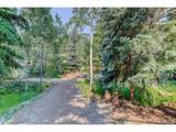 7361 Brook Forest Dr - Photo 19