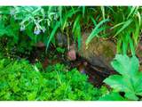 7361 Brook Forest Dr - Photo 24
