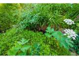 7361 Brook Forest Dr - Photo 25