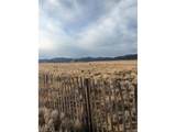 55750 Blackburn Dr - Photo 12