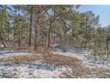 665 Copper Fox Pl - Photo 17