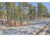 665 Copper Fox Pl - Photo 19