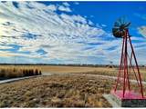 9938 Danube Ct - Photo 29
