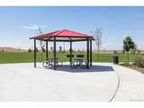 9938 Danube Ct - Photo 31