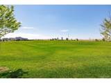 9938 Danube Ct - Photo 34