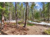  Rock Lake Rd - Photo 2