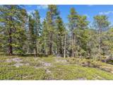  Rock Lake Rd - Photo 4