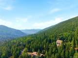 29 Blue Spruce Dr - Photo 44