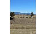 391 Gulch Rd - Photo 10