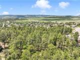1180 Lone Scout Lookout - Photo 10