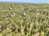 1180 Lone Scout Lookout - Photo 4