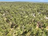 1180 Lone Scout Lookout - Photo 5