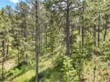 1180 Lone Scout Lookout - Photo 6