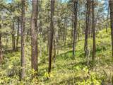 1180 Lone Scout Lookout - Photo 7
