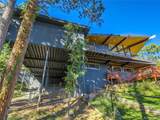 17 Pine Rd - Photo 45