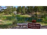 3500 Aspen Glen Loop - Photo 10