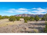 1382 Chinook Dr - Photo 12