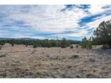 1382 Chinook Dr - Photo 15