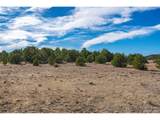 1382 Chinook Dr - Photo 22