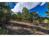 1382 Chinook Dr - Photo 25