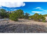 1382 Chinook Dr - Photo 4
