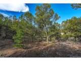 1382 Chinook Dr - Photo 5
