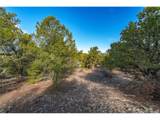 1382 Chinook Dr - Photo 8