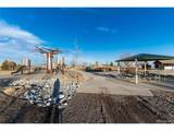 895 Antelope Dr - Photo 49