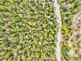 10862 Twin Spruce Rd - Photo 15
