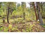 10862 Twin Spruce Rd - Photo 2