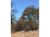 0 41st Trail - Photo 16
