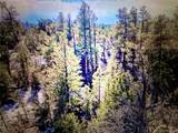 0 41st Trail - Photo 18