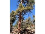 0 41st Trail - Photo 19