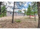 2796 Black Fawn Ln - Photo 31