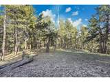  Molly Dr, Lot #3 - Photo 10