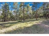  Molly Dr, Lot #3 - Photo 6