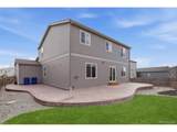 2359 Coyote Creek Dr - Photo 46