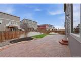 2359 Coyote Creek Dr - Photo 48
