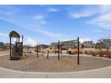 2359 Coyote Creek Dr - Photo 49