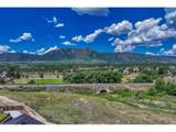 17240 Park Trail Dr - Photo 48