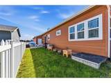 7850 Cattail - Photo 15