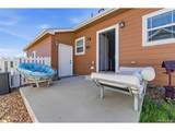 7850 Cattail - Photo 16