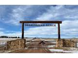 10555 Big Sky Trl - Photo 1