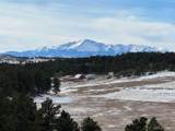 10555 Big Sky Trl - Photo 2