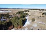 10555 Big Sky Trl - Photo 21