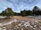 10555 Big Sky Trl - Photo 6