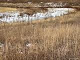10555 Big Sky Trl - Photo 7