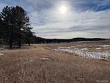 10555 Big Sky Trl - Photo 8