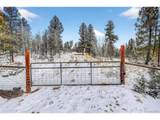 927 Forest Dr - Photo 17