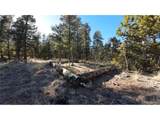 927 Forest Dr - Photo 9